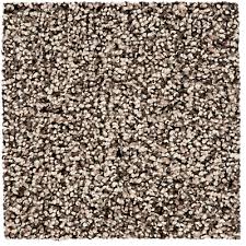 smartstrand carpet featuring colormax