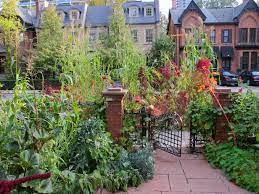 Tips For A Small Bountiful City Garden