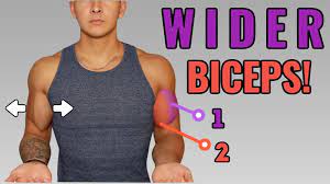 full biceps workout
