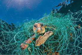 plastic pollution on marine life