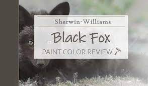 Sherwin Williams Black Fox Sw 7020