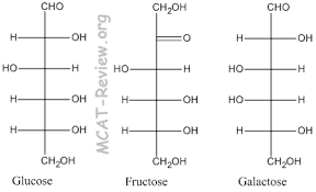 Carbohydrates Biological Molecules Mcat Review