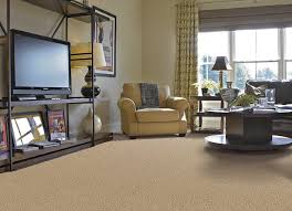 pet friendly carpet options