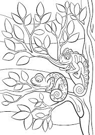 Color in this picture of camouflage and share it with others today! Coloring Pages Wild Animals Two Little Cute Chameleon Vector Image Royalty Free