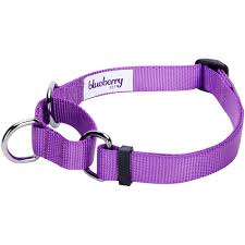 Blueberry Pet Safety Training Martingale Dog Collar Dark