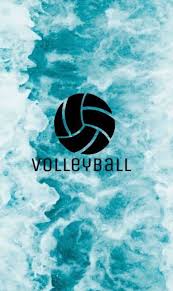 volleyball wallpapers on wallpaperdog