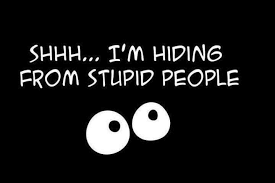 Life-Love-Quotes-Shhh-Im-Hiding-From-Stupid-People.jpg via Relatably.com