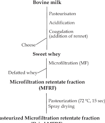 Figure 1 From Production And Functional Properties Of Dairy