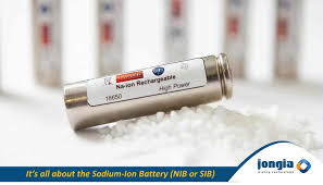 is sodium ion the next generation