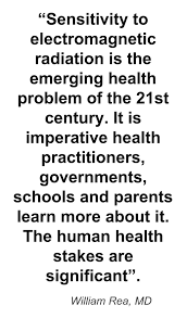 pin by vic bean on change the world essay writing human rights environmental health center dallas a facility for chemical sensitivities mold sensitivities food sensitivities emf sensitivities