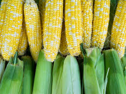 Six Ways to Cook and Use Fresh Sweet Corn