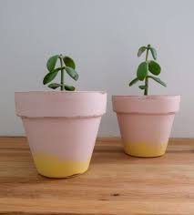 how to use chalk paint on terra cotta pots