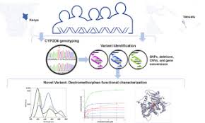 Cyp2d6 Genotyping Analysis And Functional Characterization