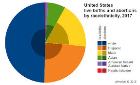 Abortions In The United States By Race