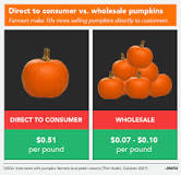 How profitable is pumpkin farming?