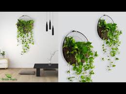 Money Plant Wall Hanging Idea For Home