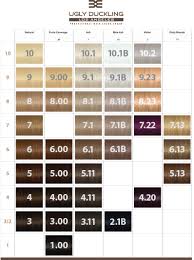 the ugly duckling hair color chart