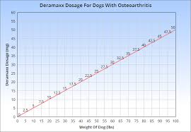 Guide To Deramaxx For Dogs Uses Benefits Side Effects