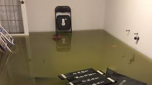 Who To Call If Your Basement Is Flooded