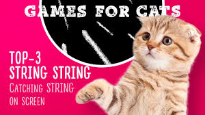cat games string string thing top 3