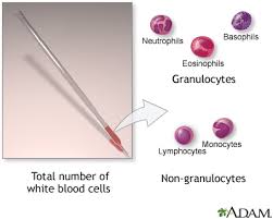 white blood cell count series