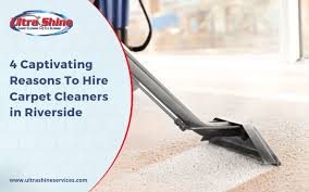 hire carpet cleaners