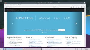 command line asp net core development