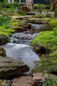 Planning Your Pond Renovation For Next