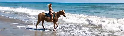 where-in-florida-can-you-go-horseback-riding-on-the-beach