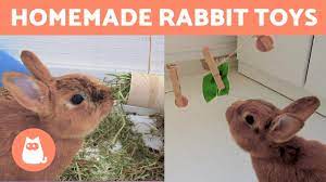 3 homemade toys for rabbits with