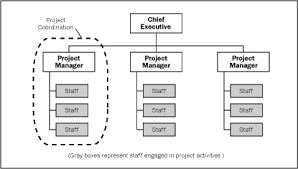 Organization Types With Respect To Project Management