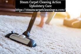 professional upholstery care services