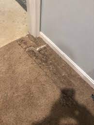 best carpet repair northern va