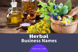 Additionally, we provide you with a free business name generator with an instant domain availability check to help you find a custom. 505 Catchy Herbal Business Name Ideas Soocial