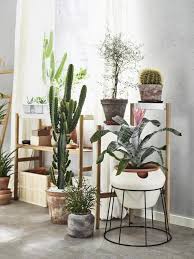 Ikea lack table hack to succulent vertical garden. An Insider S Guide To Getting First Dibs On The Best Ikea Houseplants Gardenista