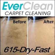 carpet cleaning near franklin ky
