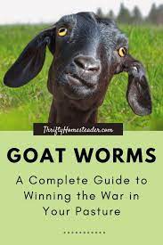 goat worms a complete guide to winning