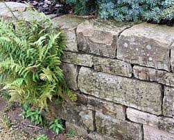 Für die trockenmauer sollten sie ein fundament anlegen, das für stabilität sorgt. Natursteinmauer Trockenmauer Bauen Und Mit Stauden Begrunen Bepflanzen Native Plants