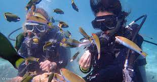 mactan island scuba diving by rakso