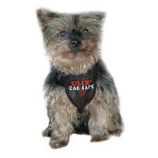 Clix Car Safe Dog Harness Ocado