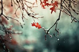 Картинки по запросу погода осінь