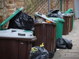 bin collection changes in basildon