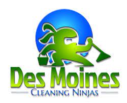 carpet cleaning des moines and rug