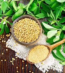 fenugreek seeds for hair benefits how