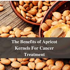 apricot kernels for cancer treatment