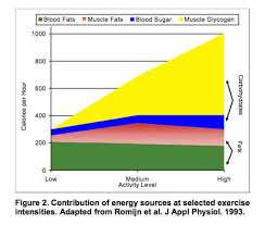 Fat as a fuel source for the aerobic energy system. Energy Sources At Different Exercise Intensities Explained Road Bike Rider Cycling Site
