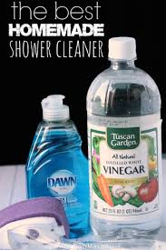 best homemade shower cleaner only 2