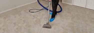 carpet cleaning handyman on call