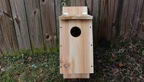 Build A Screech Owl Nesting Box From A