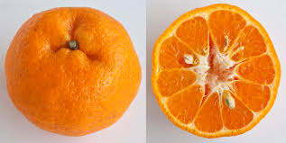 A Guide To Mandarin Oranges 11 Types Of Citrus For The